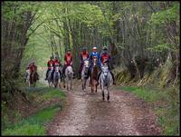 Bienvenue à la Ferme équestre de Chambon